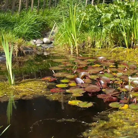 בית נופש La Maison