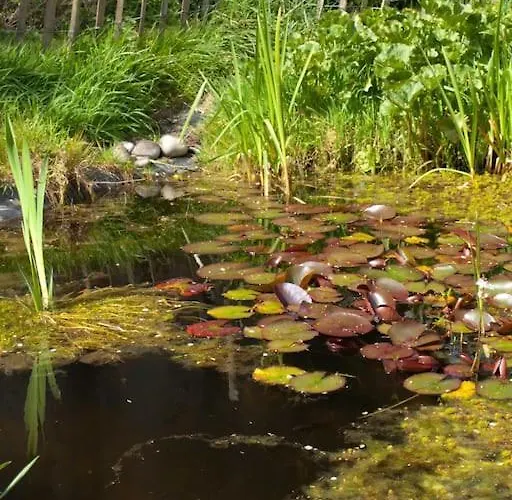 Vakantiehuis La Maison